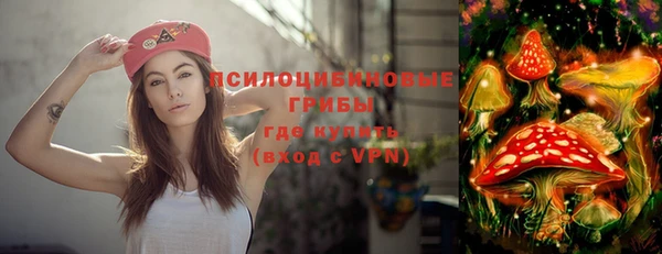 стафф Бронницы