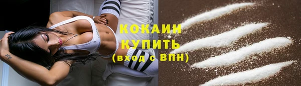 крисы Богородск