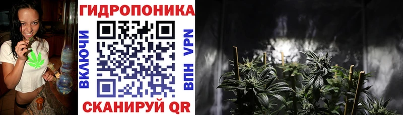 Шишки марихуана Amnesia  Навашино 